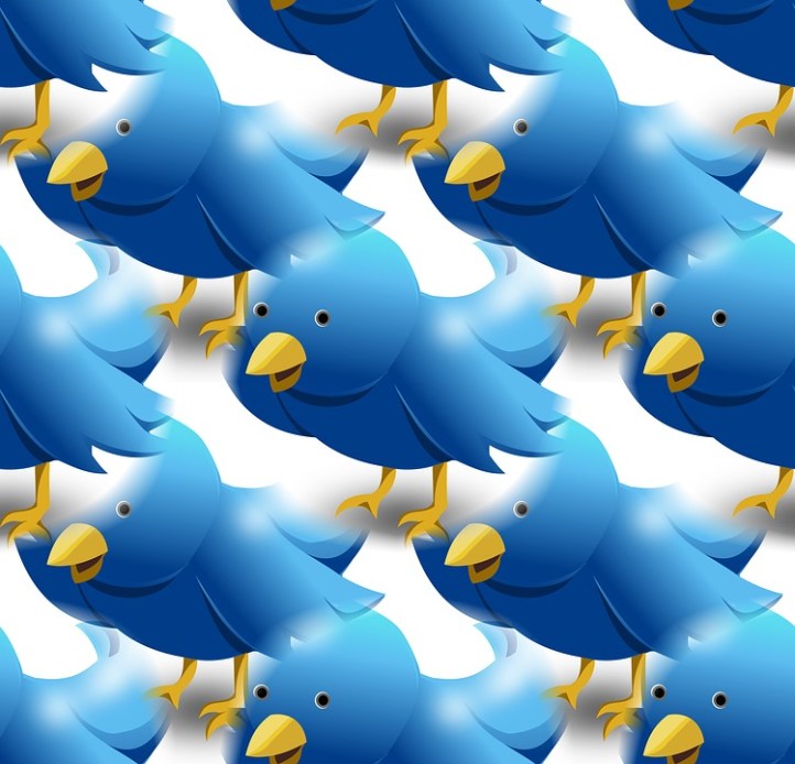 twitter-1138522_960_720