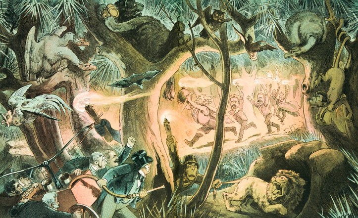 jungle-5424473_960_720